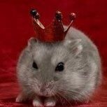 ratonildo