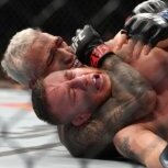 CFC FIGHT