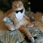 Gato Rico