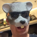 Rato Borrachudo