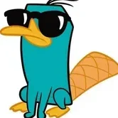 PERRYORNITORRINCO