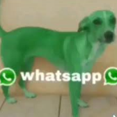 lupas