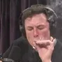 nando1337