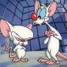ratazana dupla